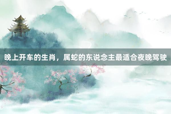 晚上开车的生肖，属蛇的东说念主最适合夜晚驾驶